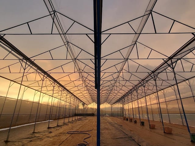 Màng nhà kính kháng lưu huỳnh là giải pháp tối ưu cho canh tác nông nghiệp hiện đại