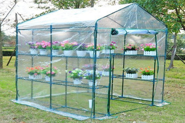 Bạt Nhà Kính Politiv Israel: Kiến Tạo Niềm Tin, Nâng Tầm Bữa Ăn Sạch Cho Gia Đình Việt