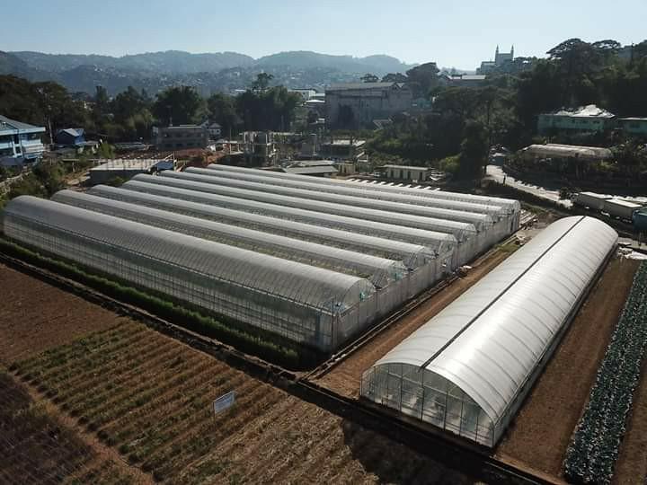 Lợi ích của việc làm nhà kính trồng cây trong nông nghiệp