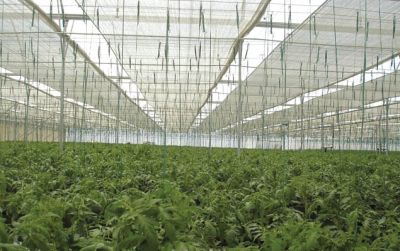 Lưới cắt nắng HDPE là gì