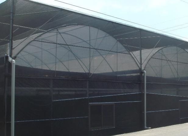 LƯỚI CẮT NẮNG