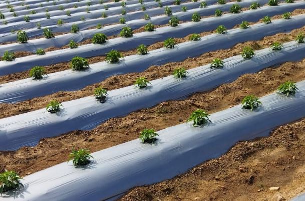 VẬT TƯ CHUYÊN DỤNG